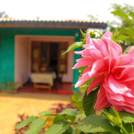 Yoho Nilmini Homestay Ella Ngoại thất bức ảnh