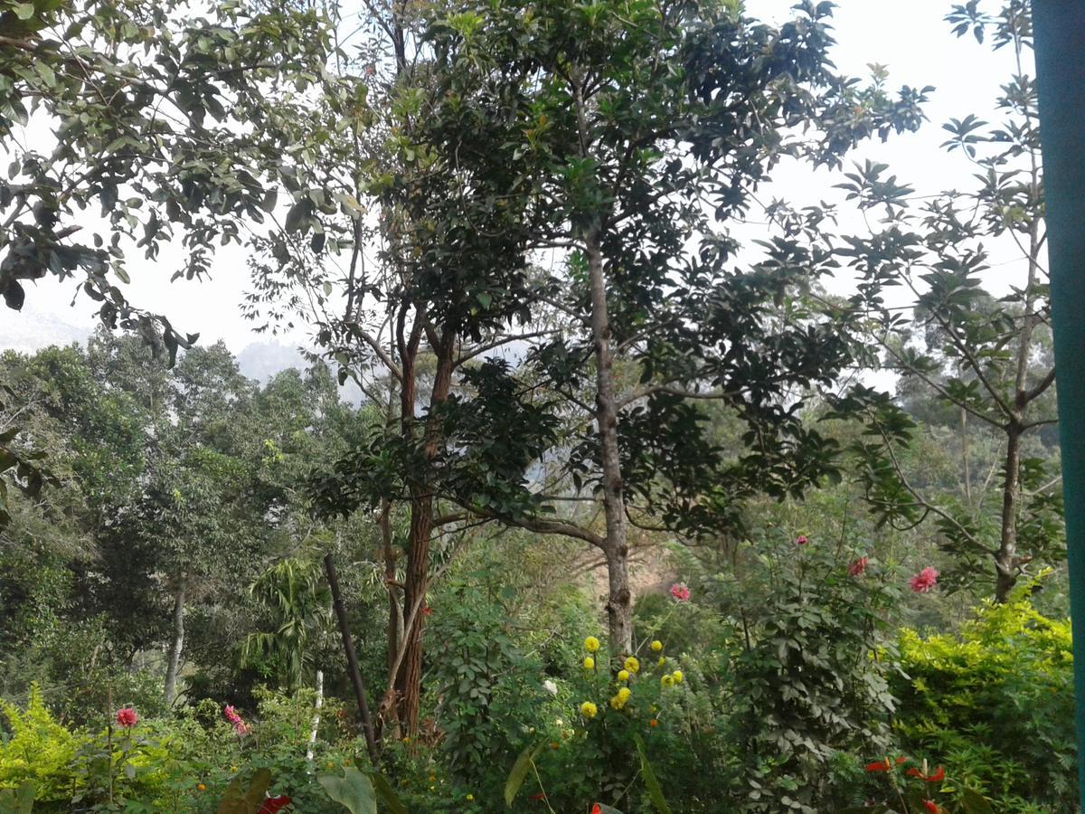 Yoho Nilmini Homestay Ella Ngoại thất bức ảnh