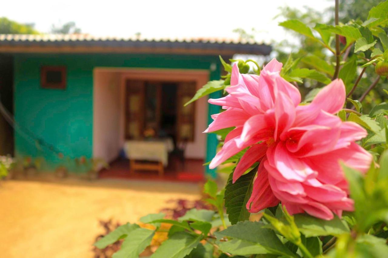 Yoho Nilmini Homestay Ella Ngoại thất bức ảnh