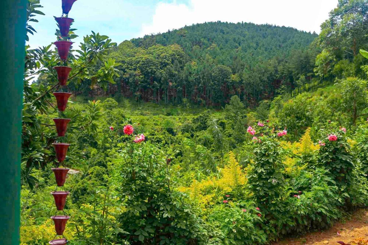 Yoho Nilmini Homestay Ella Ngoại thất bức ảnh